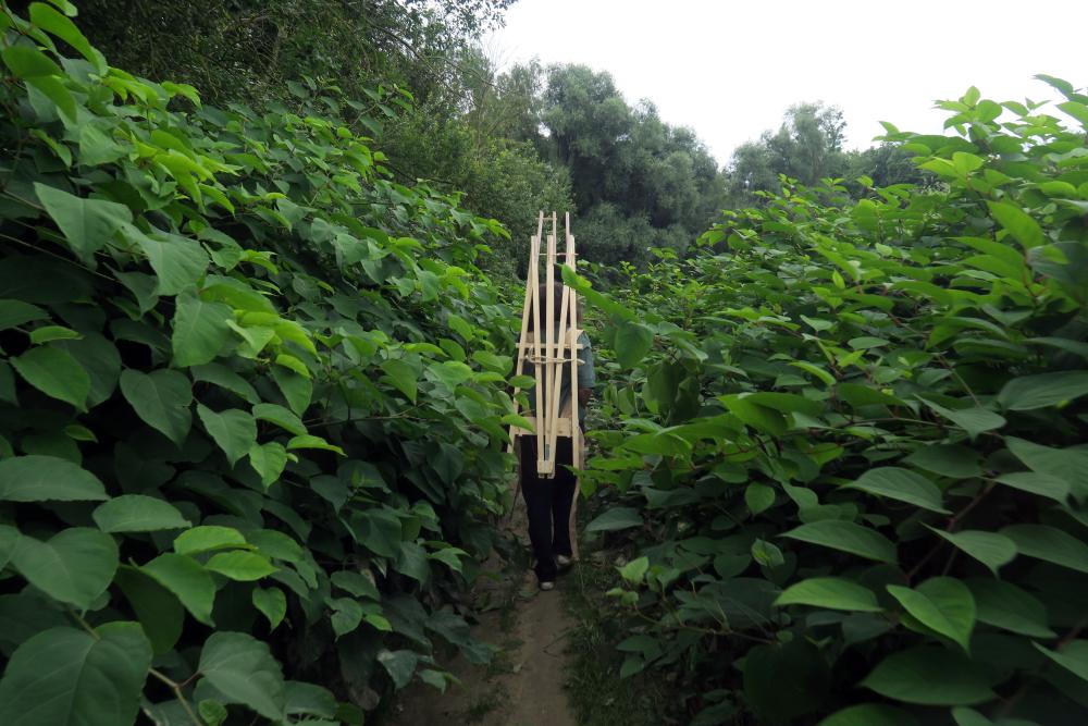A person walking between plants with an easel on their back