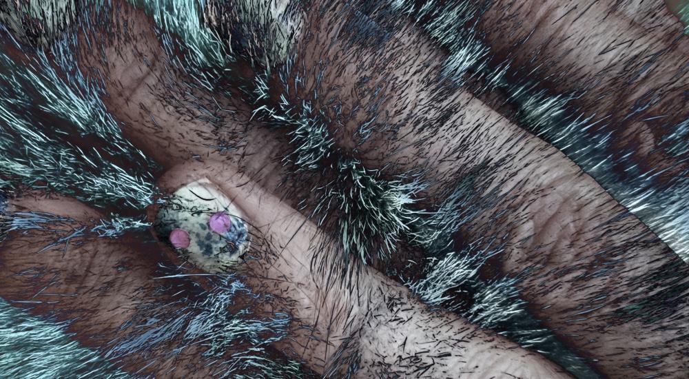 Maria Ferreira Silva