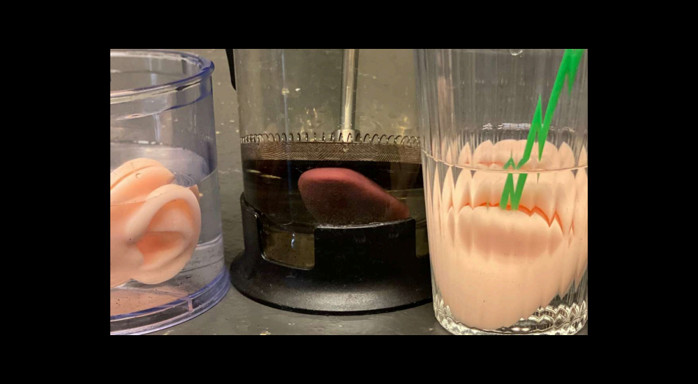 Jars of water with fake body parts in them