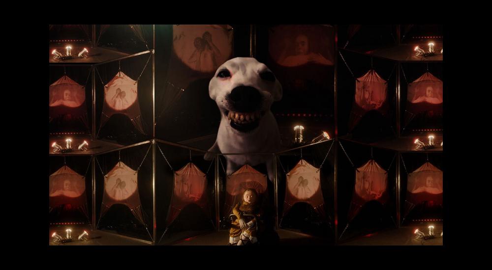 hond en mira thompson