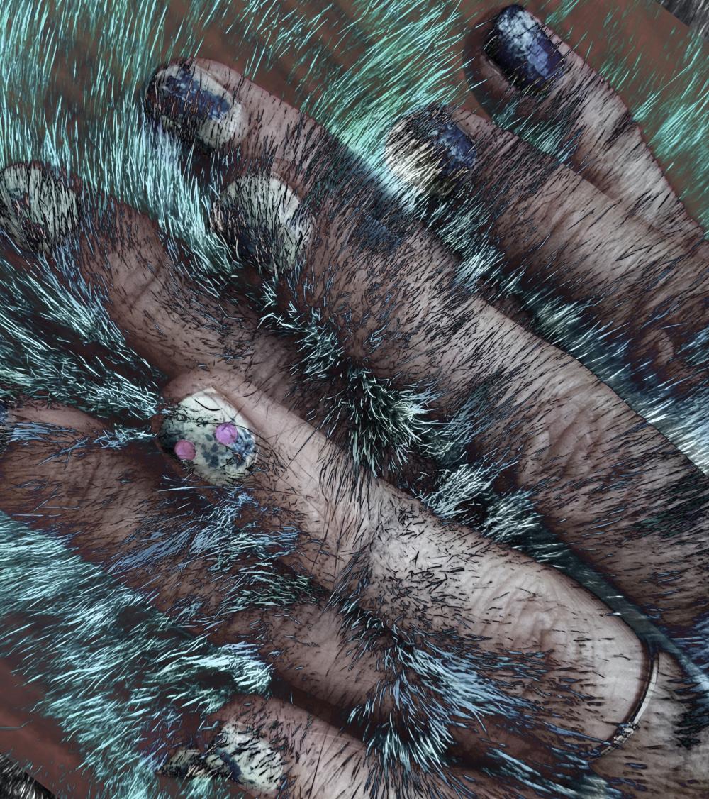 Maria Ferreira Silva