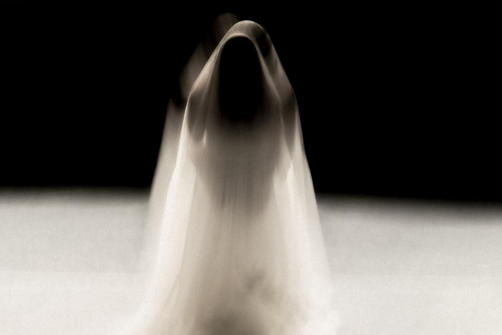 Desirée in a white dress and large veil