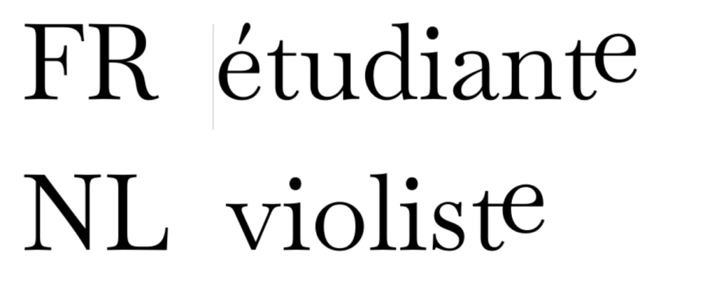 genderinclusief Nederlands
