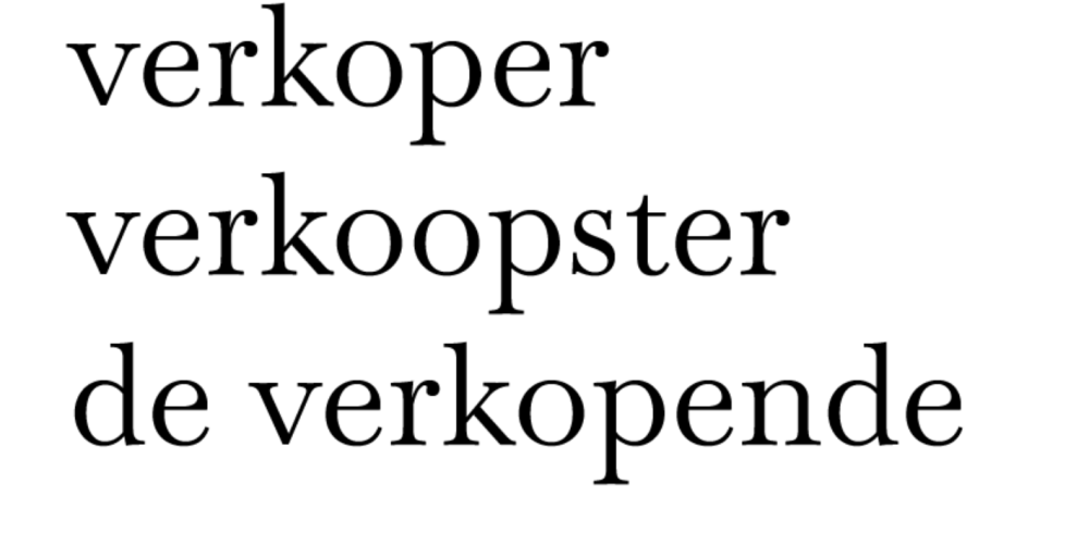 genderinclusief Nederlands