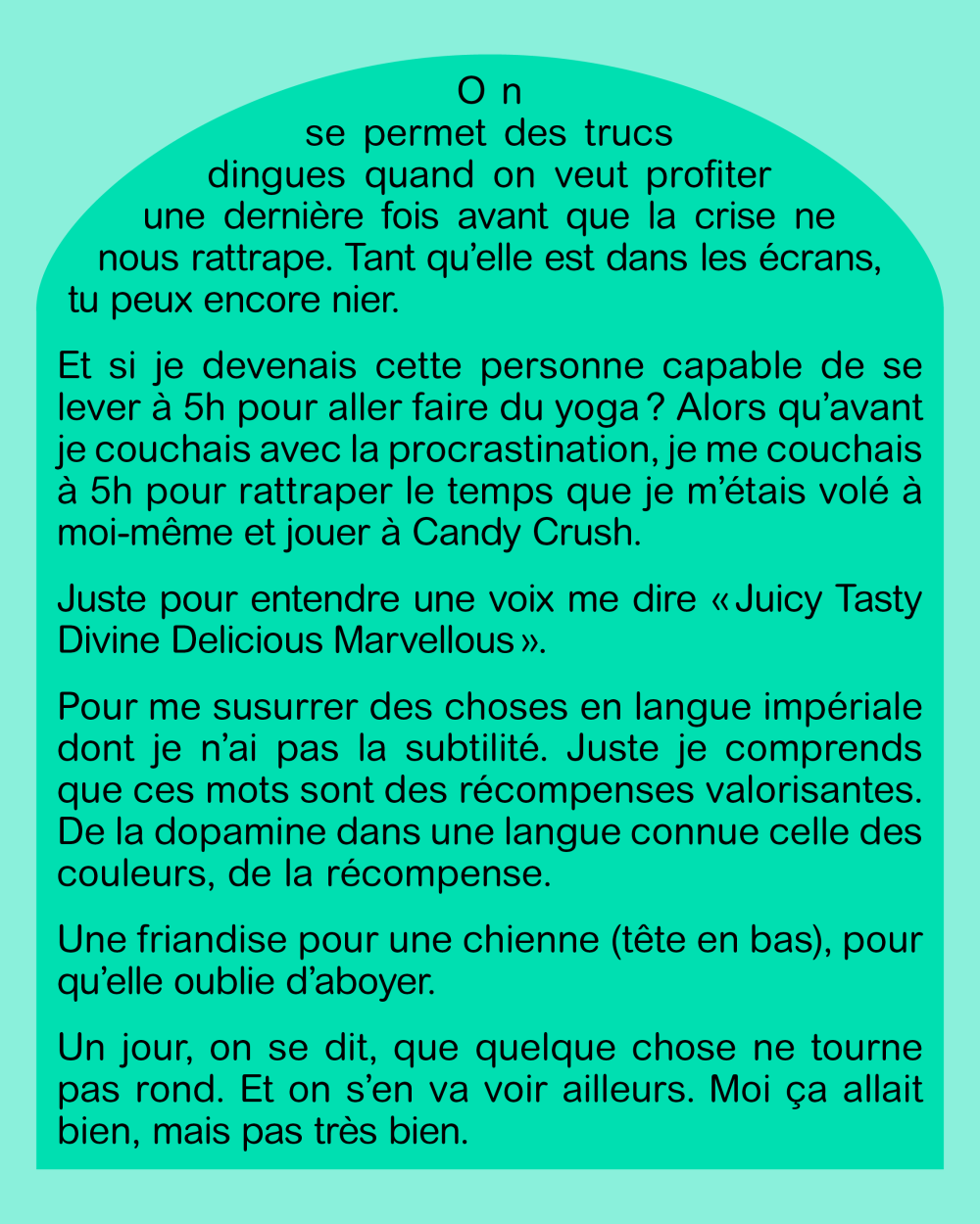 essay Rebecca Chaillon fragment