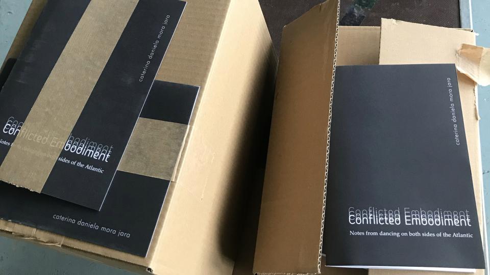 Boxes filled with caterina's book