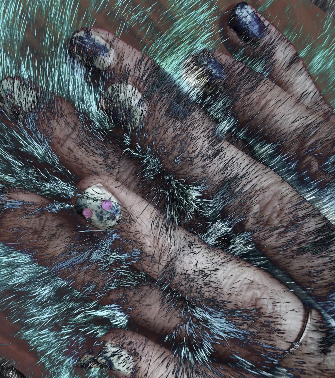 Maria Ferreira Silva